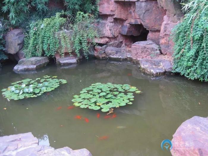 上?？禈犯ｐB老院