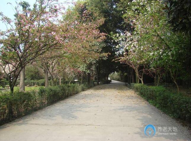 南寧市關愛養(yǎng)老院
